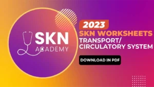 Transport or circulatory system xi biology Mcqs